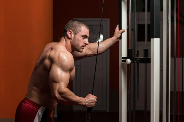 Triceps egzersiz vücut geliştirmeci — Stok fotoğraf