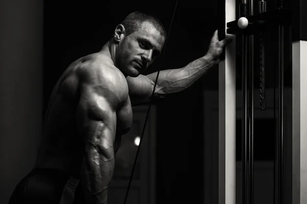 Bodybuilder Doing Exercise For Triceps — Stock Photo, Image