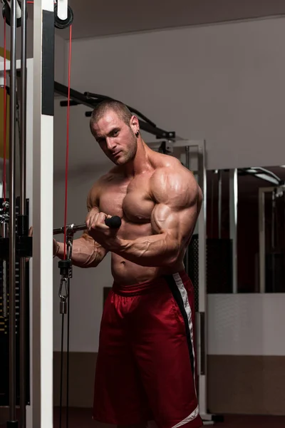 Bodybuilder Doing Exercise For Biceps — Stock Photo, Image