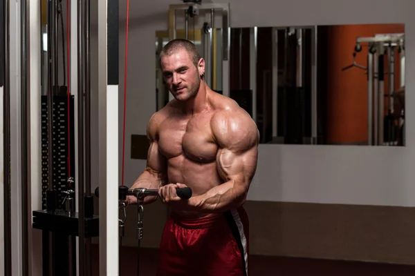 Biceps träning — Stockfoto