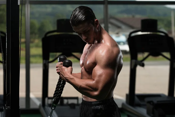 Bodybuilder Exercising Biceps — Stock Photo, Image