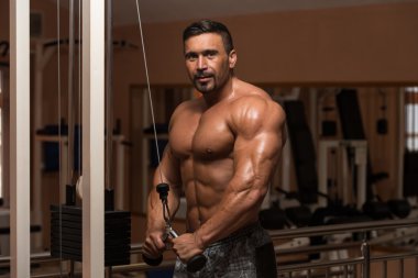 triceps egzersiz vücut geliştirmeci