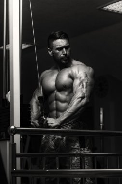 triceps egzersiz vücut geliştirmeci