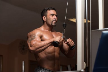 triceps egzersiz vücut geliştirmeci