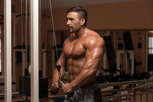 Bodybuilder Doing Exercise For Triceps — Stock Photo, Image