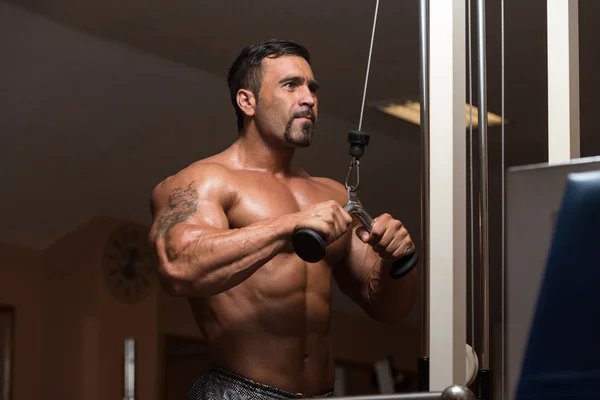 Bodybuilder Exercising Triceps — Stock Photo, Image