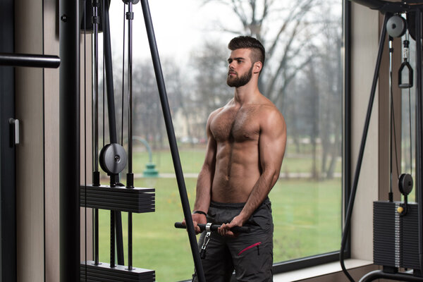 Young Man Exercising Biceps On Machine