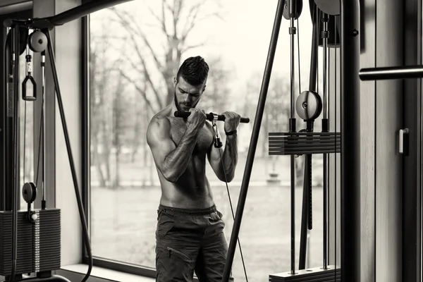 Young Male Doing Biceps Exercises In The Gym — Stock Photo, Image