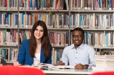 bir kaç öğrenci kitaplığı