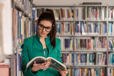 Bir kitaplıktaki Fale üniversite öğrencisi