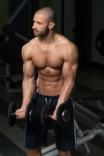 Dumbbell Concentration Curls — Stock Photo, Image