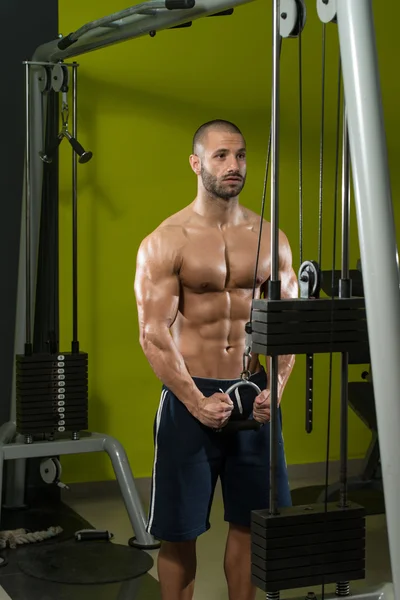 Culturista masculino haciendo ejercicio de peso pesado para tríceps —  Fotos de Stock