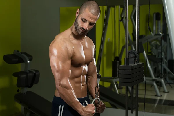 Kroppsbyggare tränar triceps — Stockfoto