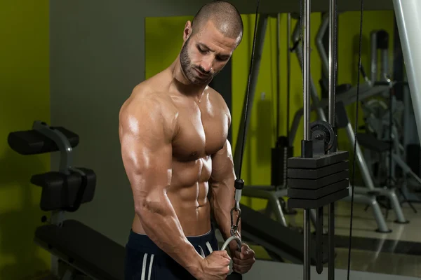 Triceps egzersiz vücut geliştirmeci — Stok fotoğraf