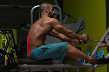 Geri egzersiz vücut geliştirmeci