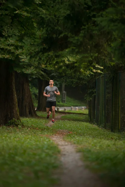 Man Runner loopt door de lente Park Road — Stockfoto