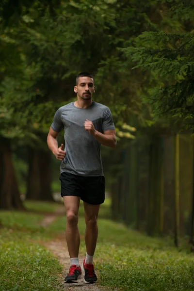 Corredor atleta corriendo por sendero forestal —  Fotos de Stock