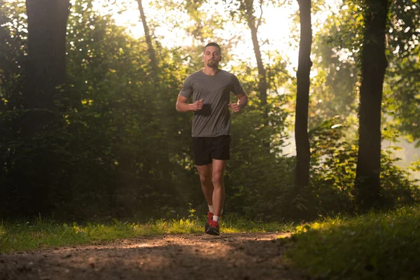 Runner atleet waarop bospad — Stockfoto