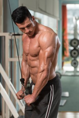 triceps egzersiz vücut geliştirmeci