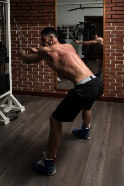 geri için ağır egzersiz yaparak genç vücut geliştirmeci