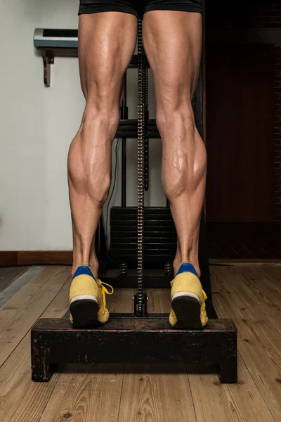 运动型的腿小腿 — 图库照片