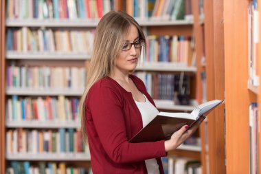 bir kitaplıktaki bir öğrenci portresi