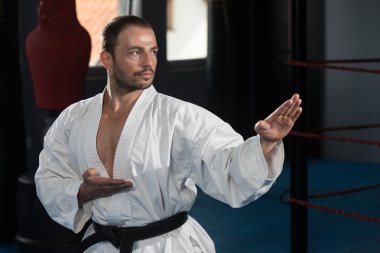 Taekwondo fighter uzman mücadele duruşu ile