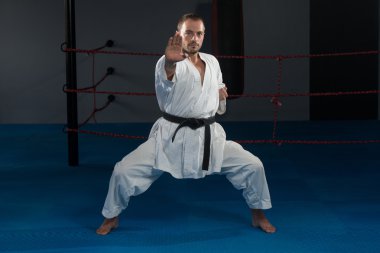 Taekwondo fighter uzman mücadele duruşu ile
