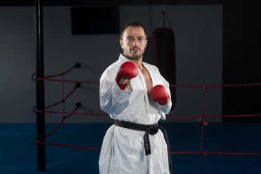 Taekwondo fighter uzman mücadele duruşu ile