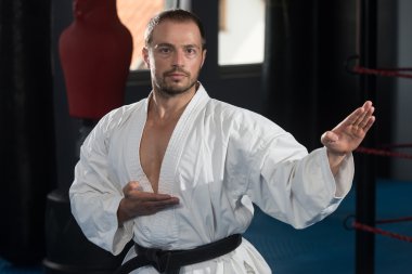 Taekwondo fighter poz