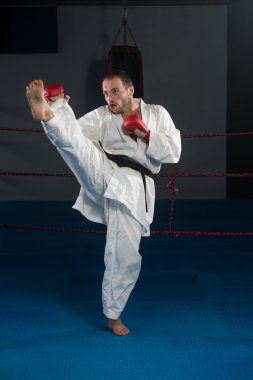 Taekwondo fighter poz