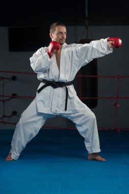 Taekwondo fighter uzman mücadele duruşu ile