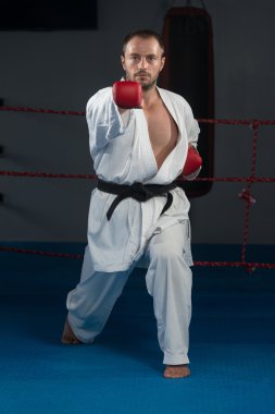 Taekwondo fighter poz