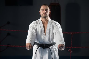 Taekwondo fighter uzman mücadele duruşu ile