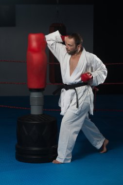 Taekwondo fighter poz