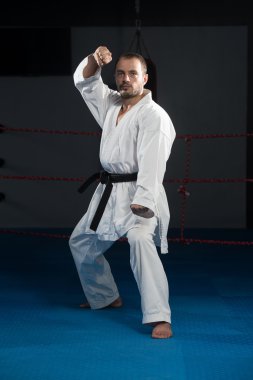 Taekwondo fighter uzman mücadele duruşu ile