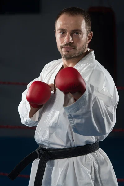 Taekwondo Fighter Pose — Stockfoto
