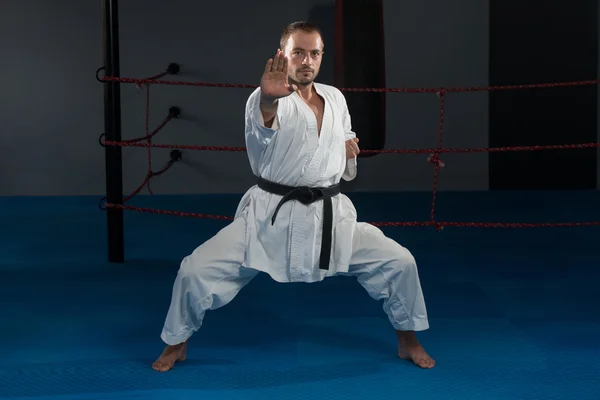 Taekwondo vechter expert met strijd houding — Stockfoto