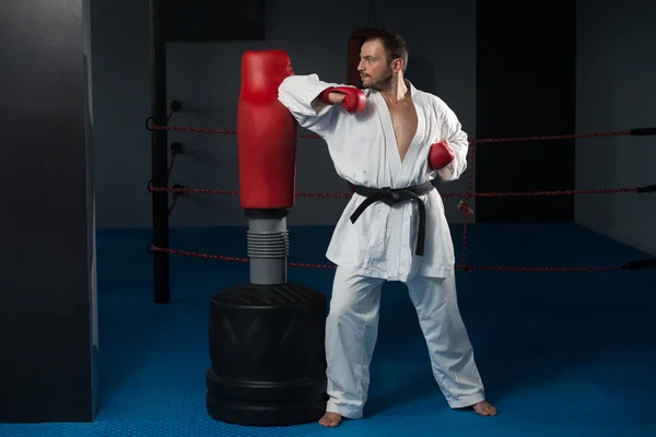 Taekwondo luchador experto con postura de lucha —  Fotos de Stock