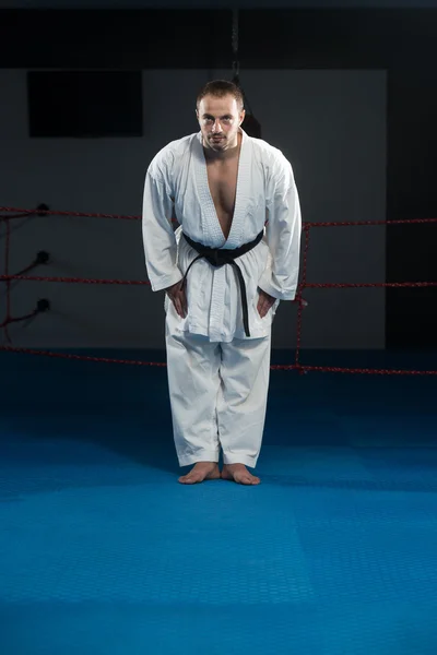 Black Belt Karate Expert With Fight Stance — Stock Photo, Image