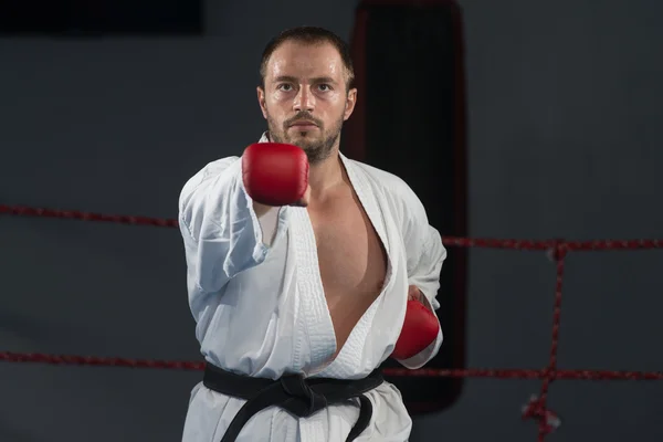 Zwarte gordel karate expert met strijd houding — Stockfoto