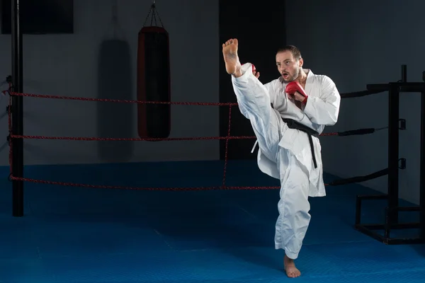 Bílé Karate Fighter — Stock fotografie