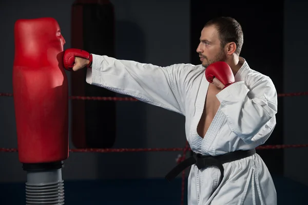 Taekwondo fighter poz — Stok fotoğraf