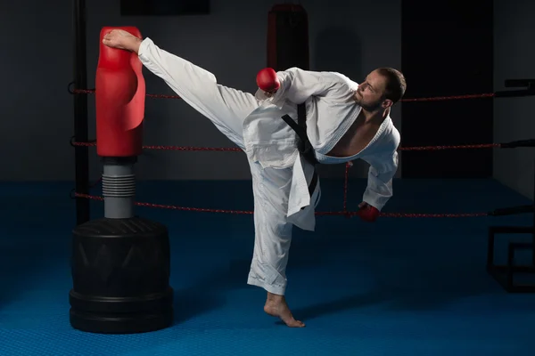 Esperto di karate cintura nera con posizione di combattimento — Foto Stock
