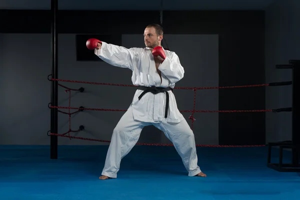 Expert černý pás v karate s boj postoj — Stock fotografie