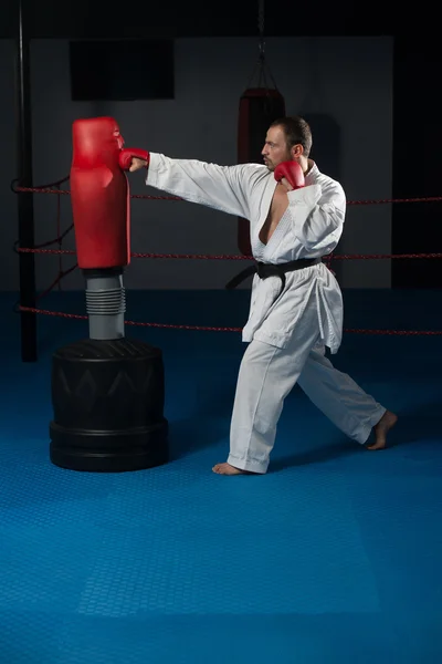 Pose do lutador de Taekwondo — Fotografia de Stock