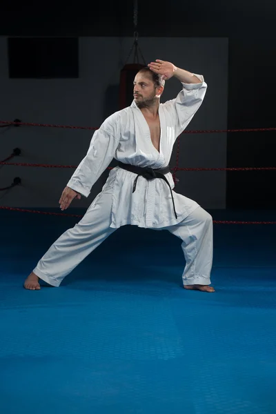 Taekwondo fighter poz — Stok fotoğraf