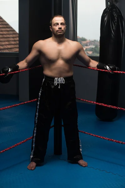 Boxer memakai sarung tangan — Stok Foto