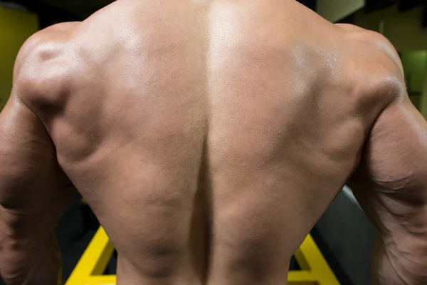 Close Up Of Muscular Back — Stock Photo, Image