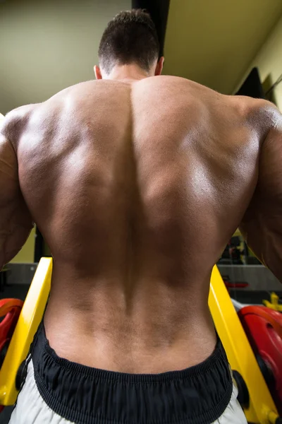 筋肉背中のクローズ アップ — ストック写真